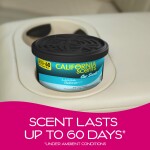 California Scents Organic Can Air Fresheners | Fresh Linen