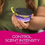 California Scents Organic Can Air Fresheners | Capistrano Coconut