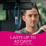 California Scents Car Air Freshener Hanging Vail | Newport NewCar