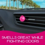 California Scents Vent Stick 4pk Air Fresheners | Coronado Cherry