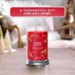 Yankee Candle Signature Scented Candle | Sparkling Cinnamon Large Tumbler Candle with Double Wicks