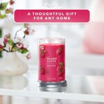 Yankee Candle Signature Scented Candle | Red Raspberry Large Tumbler Candle