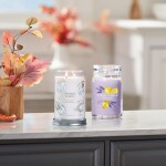 Yankee Candle Signature Scented Candle | Soft Blanket Large Tumbler Candle