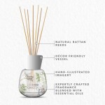 Yankee Candle Signature Reed Diffuser | Bayside Cedar | 100ml