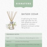 Yankee Candle Signature Reed Diffuser | Bayside Cedar | 100ml