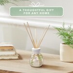 Yankee Candle Signature Reed Diffuser | Bayside Cedar | 100ml
