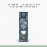Yankee Candle Signature Reed Diffuser | Bayside Cedar | 100ml