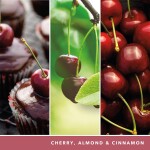 Yankee Candle Signature Scented Candle | Black Cherry Medium Jar Candle with Double Wicks