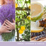 Yankee Candle Signature Scented Candle | Lemon Lavender Medium Jar Candle with Double Wicks