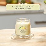 Yankee Candle Signature Scented Candle | Iced Berry Lemonade Medium Jar Candle with Double Wicks