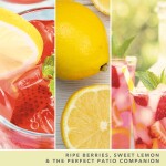 Yankee Candle Signature Scented Candle | Iced Berry Lemonade Medium Jar Candle with Double Wicks
