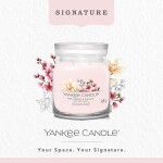 Yankee Candle Signature Scented Candle | Pink Cherry Vanilla Medium Jar Candle with Double Wicks