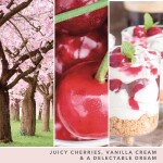 Yankee Candle Signature Scented Candle | Pink Cherry Vanilla Medium Jar Candle with Double Wicks