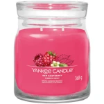 Yankee Candle Signature Scented Candle | Red Raspberry Medium Jar Candle with Double Wicks