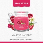 Yankee Candle Signature Scented Candle | Red Raspberry Medium Jar Candle with Double Wicks
