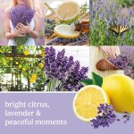 Yankee Candle Lemon Lavender Signature Small Tumbler Candle