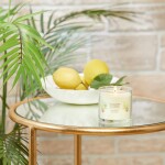 Yankee Candle Iced Berry Lemonade Scented, Signature Small Tumbler