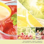 Yankee Candle Iced Berry Lemonade Scented, Signature Small Tumbler